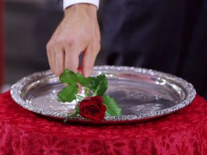 1c652ee4-cfcc-46de-8f7f-dd5cbb0f11aa_560_420